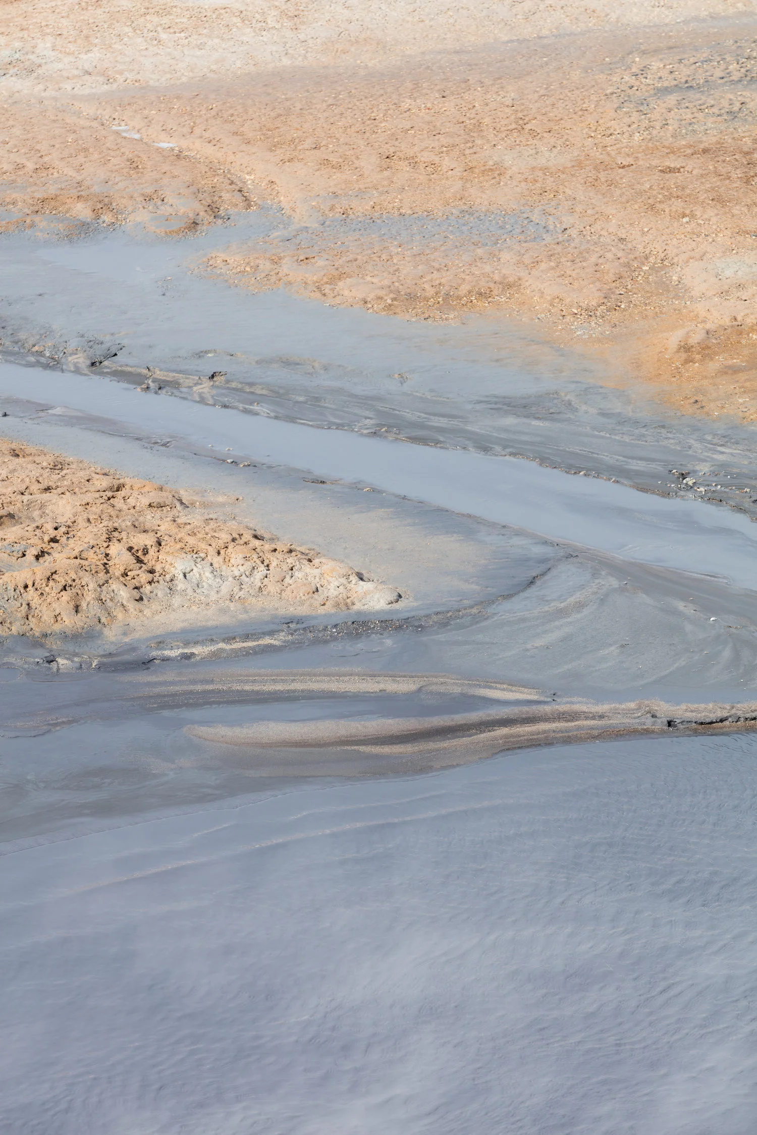 Landscapes+North+Iceland+-+Faune.jpg