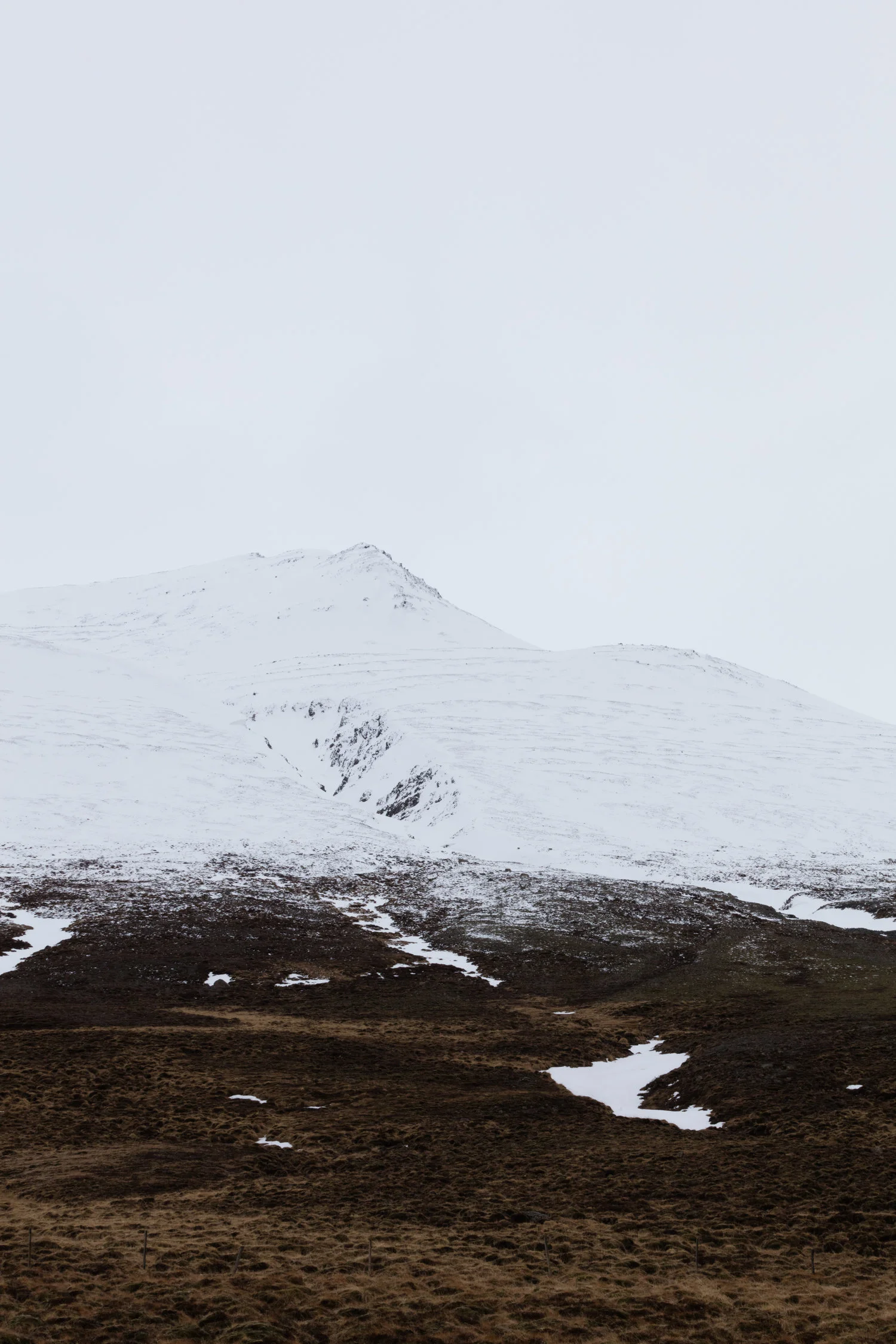 Landscapes+North+Iceland+-+Faune.jpg