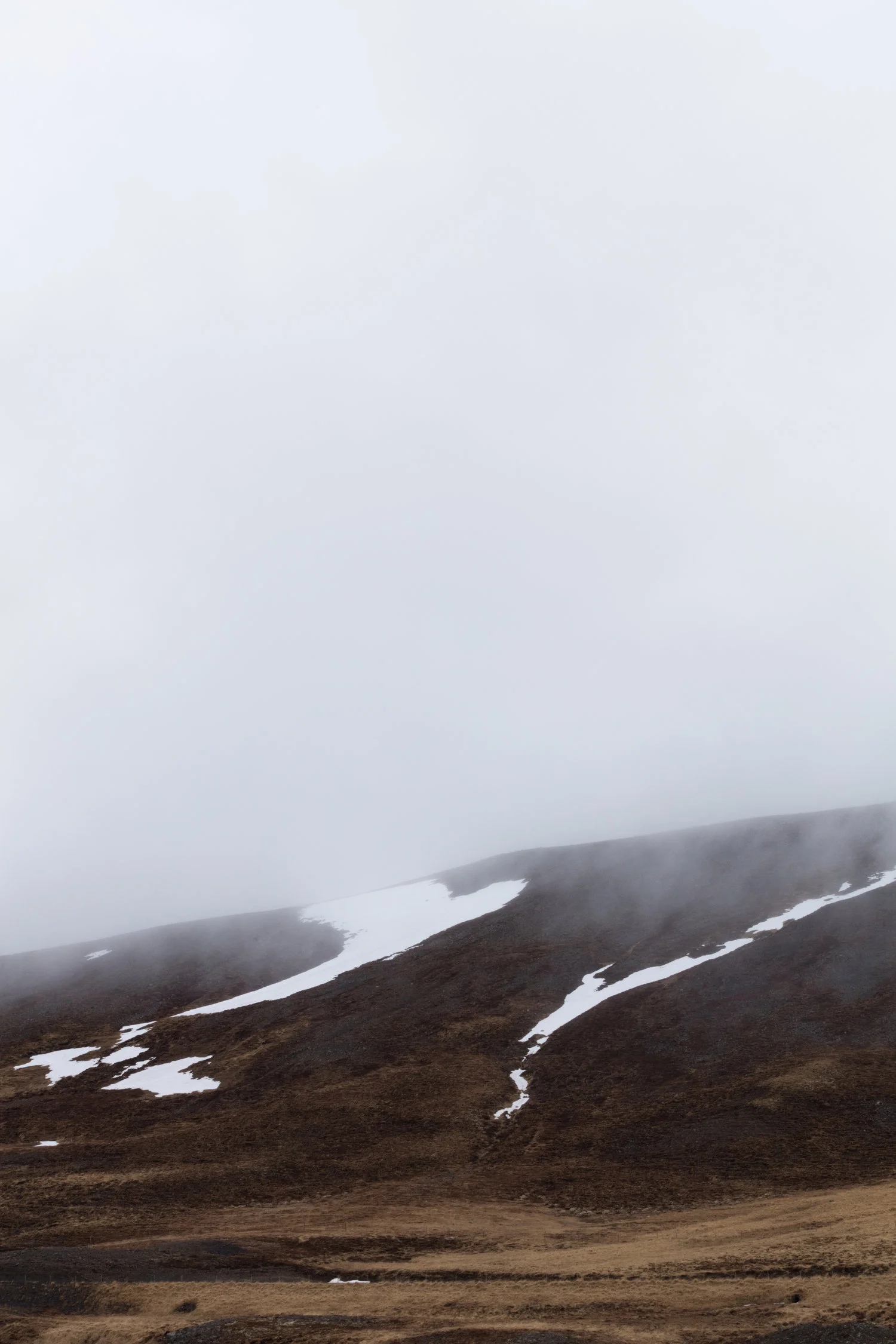 Landscapes+North+Iceland+-+Faune.jpg