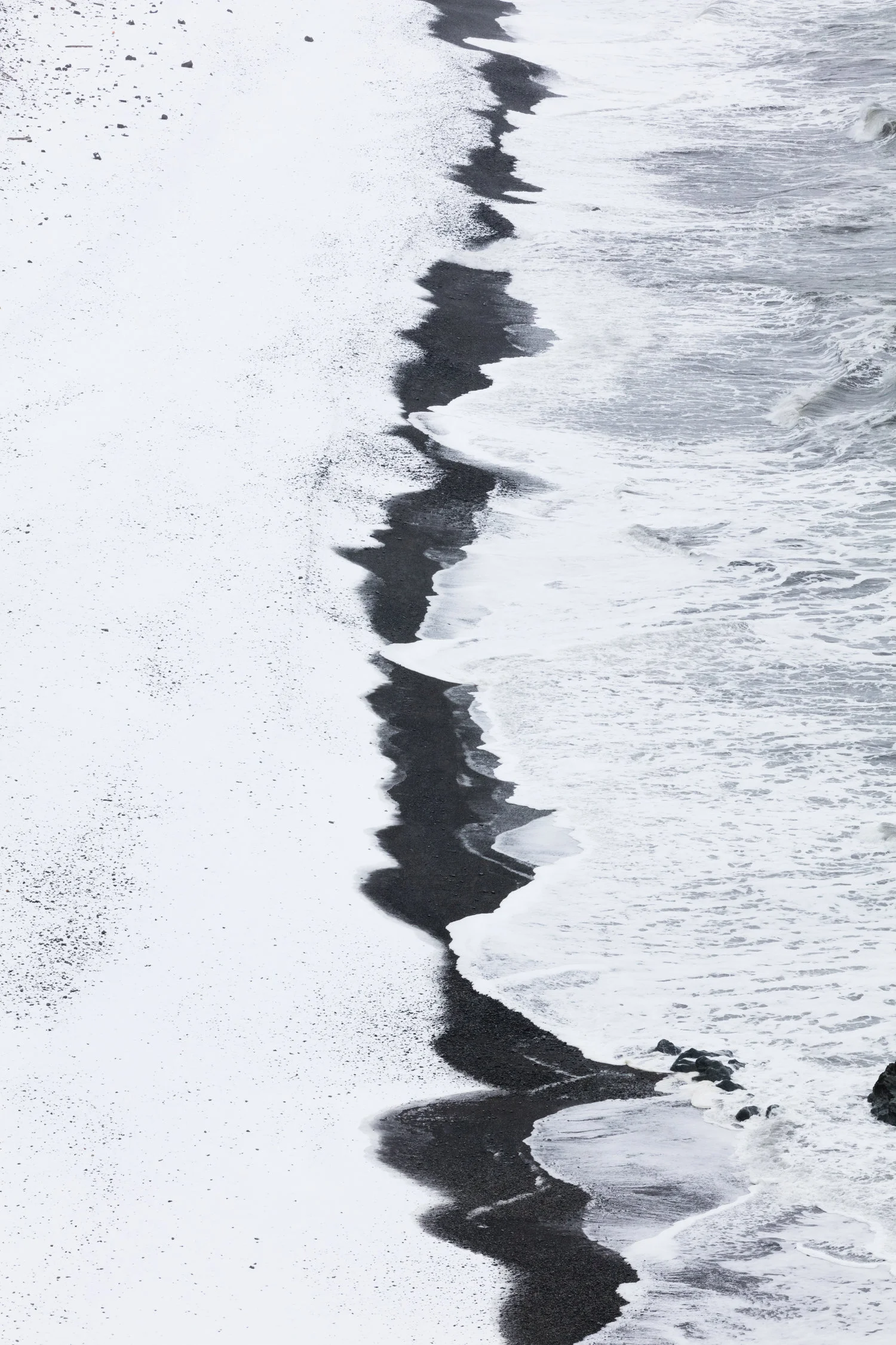 North+Atlantic+Ocean+|+East+Iceland+-+Faune.jpg