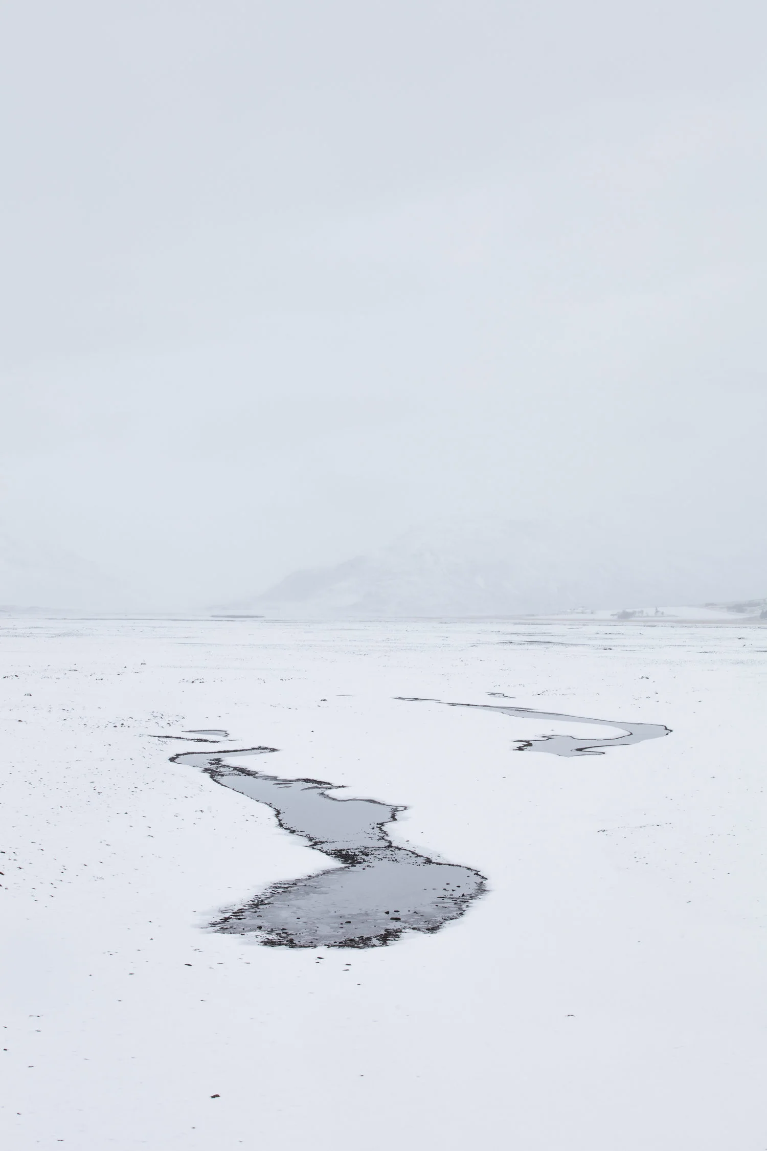 Lakes+form+as+the+snow+starts+to+melt+|+East+Iceland+-+Faune.jpg