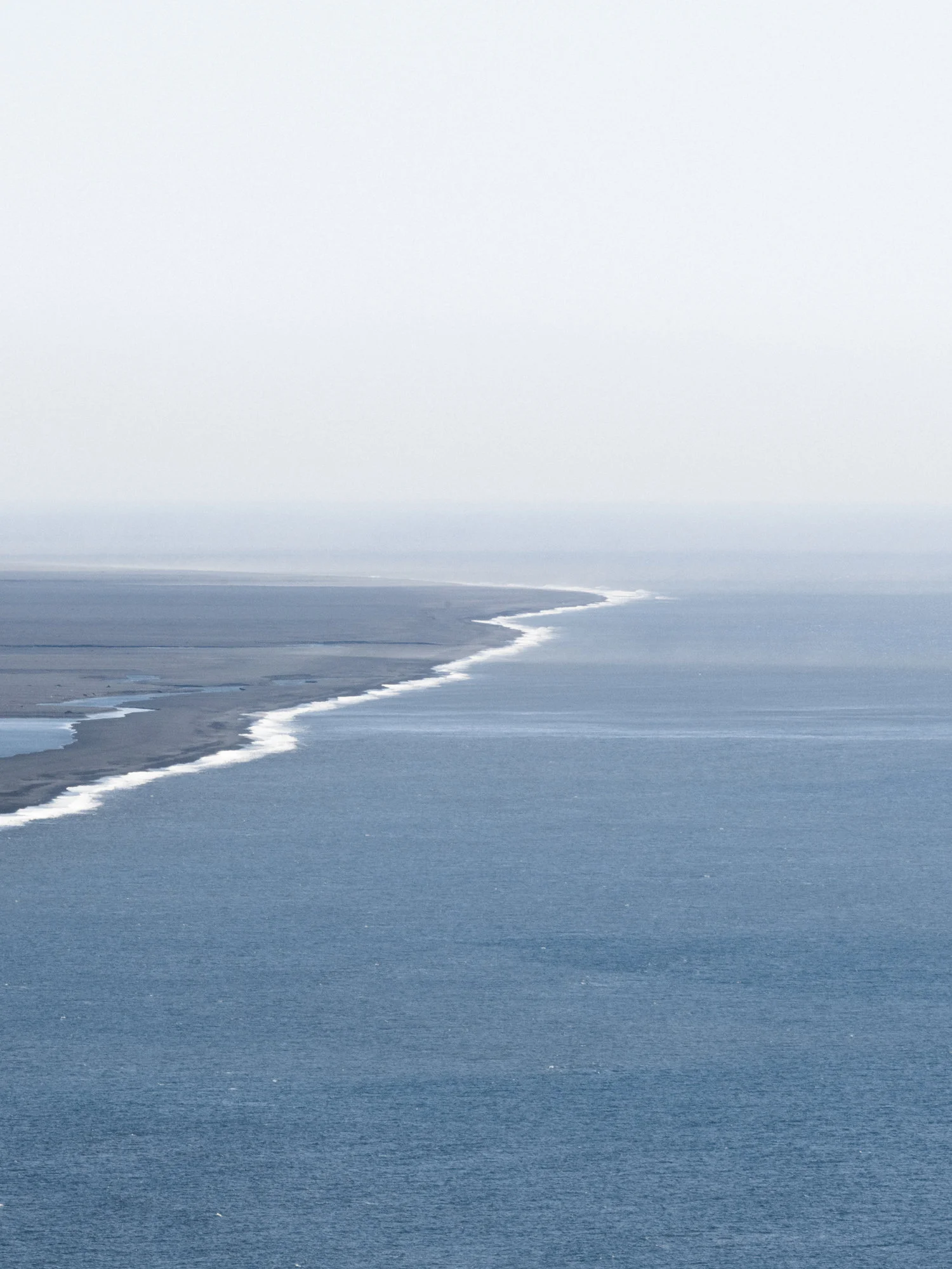 South+Iceland+Coast,+Vik+-+Faune.jpg