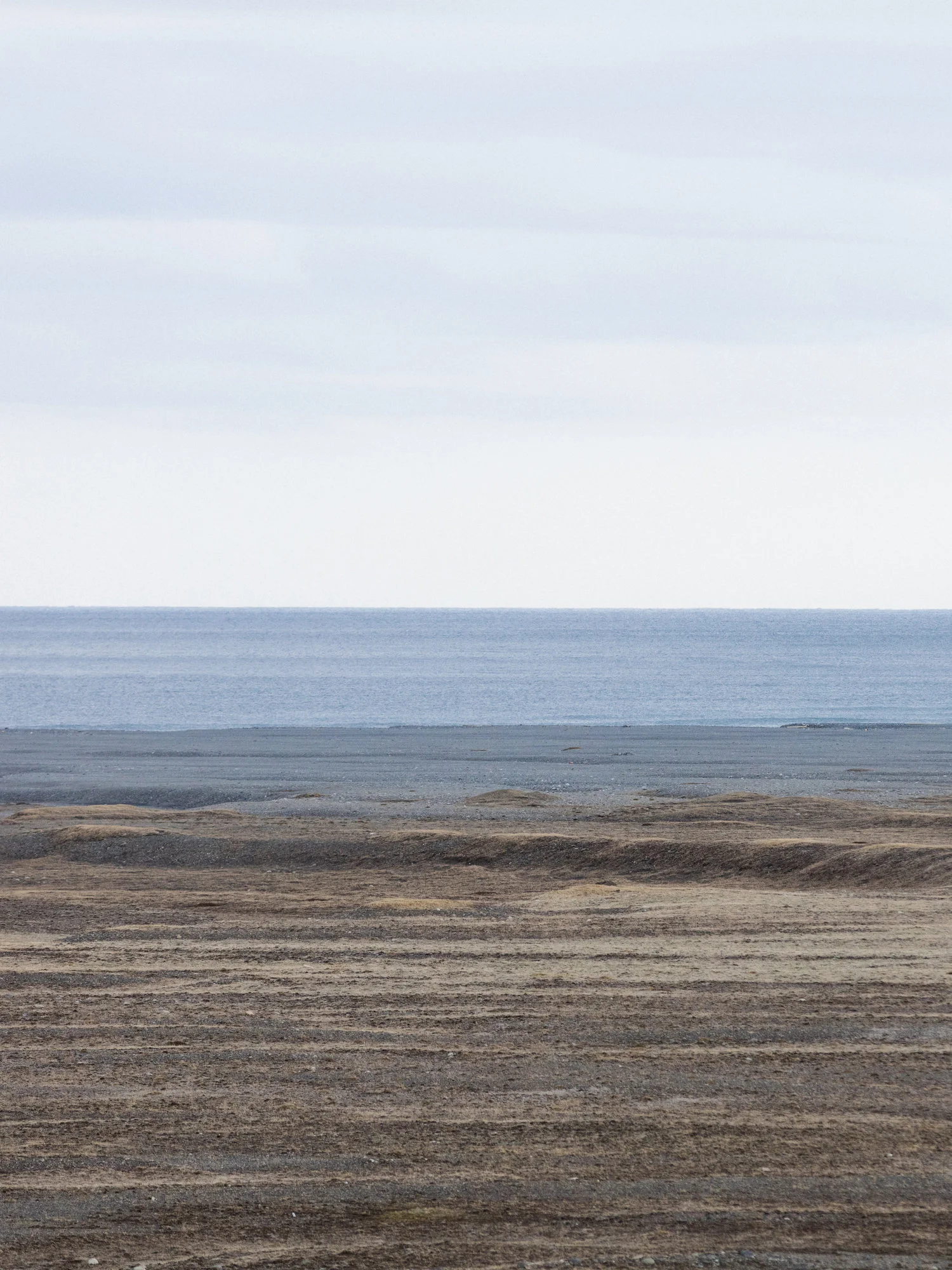 South+Iceland+-+Faune.jpg
