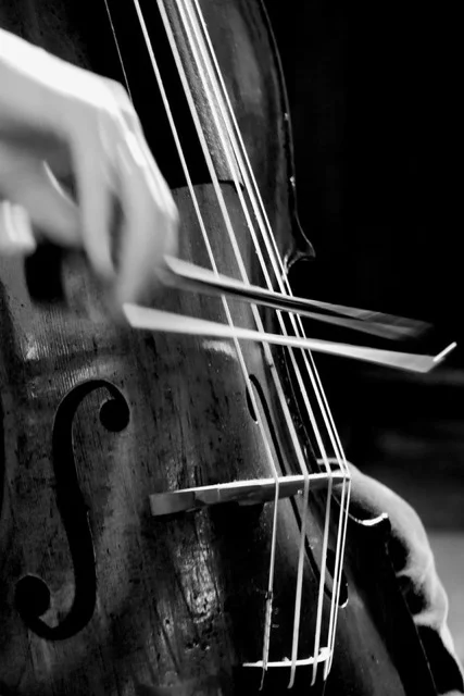 Jennifer Morsches action shot.jpeg