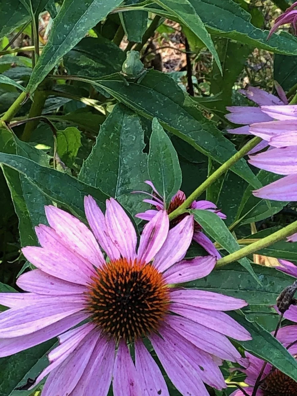 September 2022 Newsletter