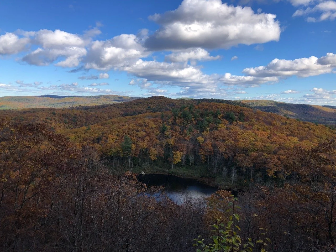 October 2022 Newsletter