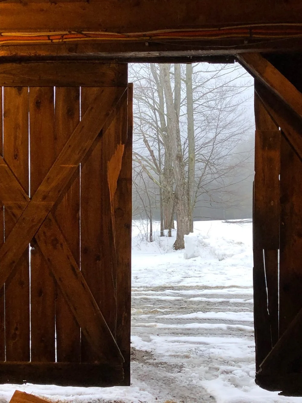 March 2023 Newsletter