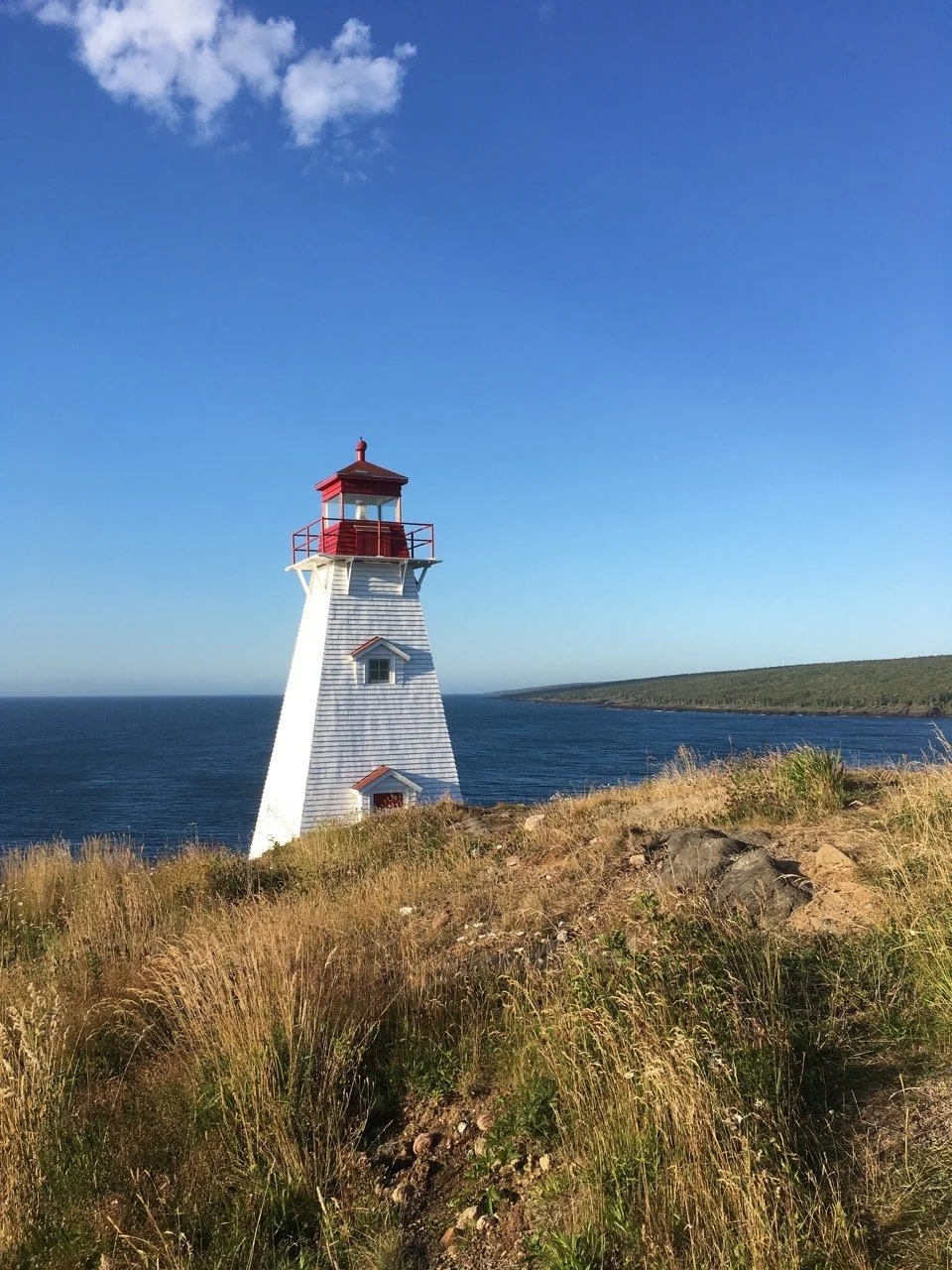 June 2023 Newsletter