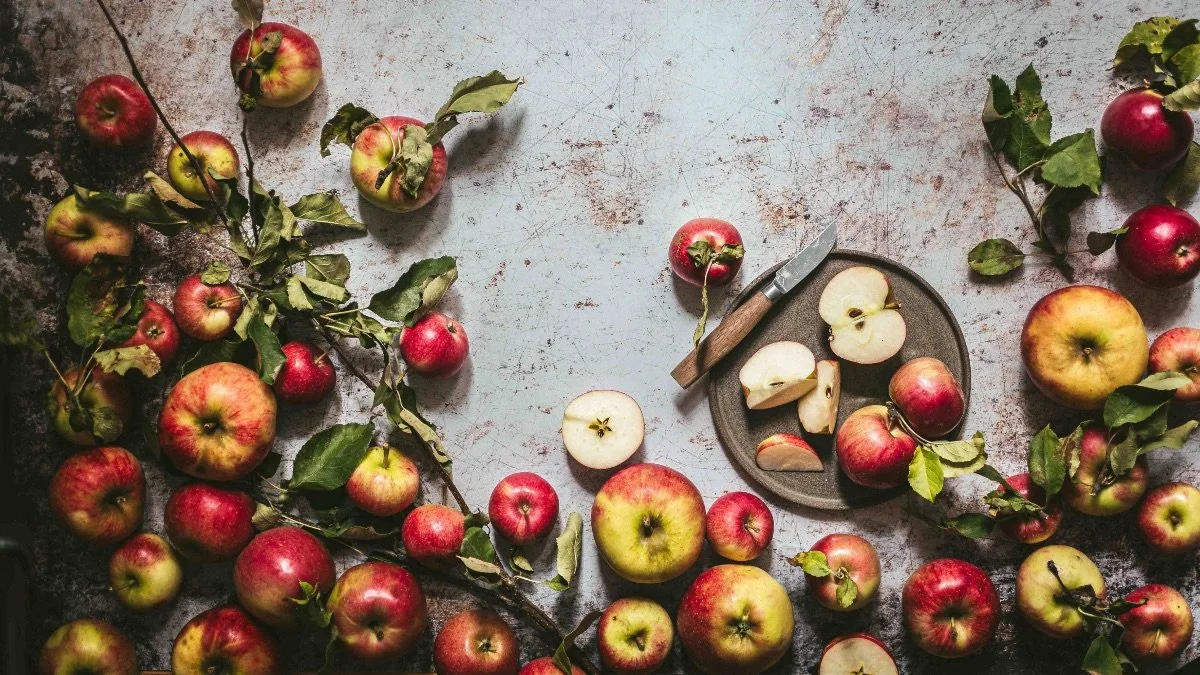 October 2024 Newsletter