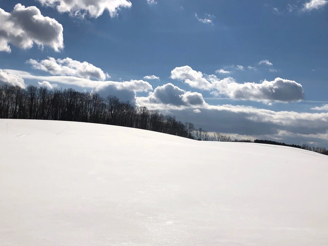 January 2026 Newsletter