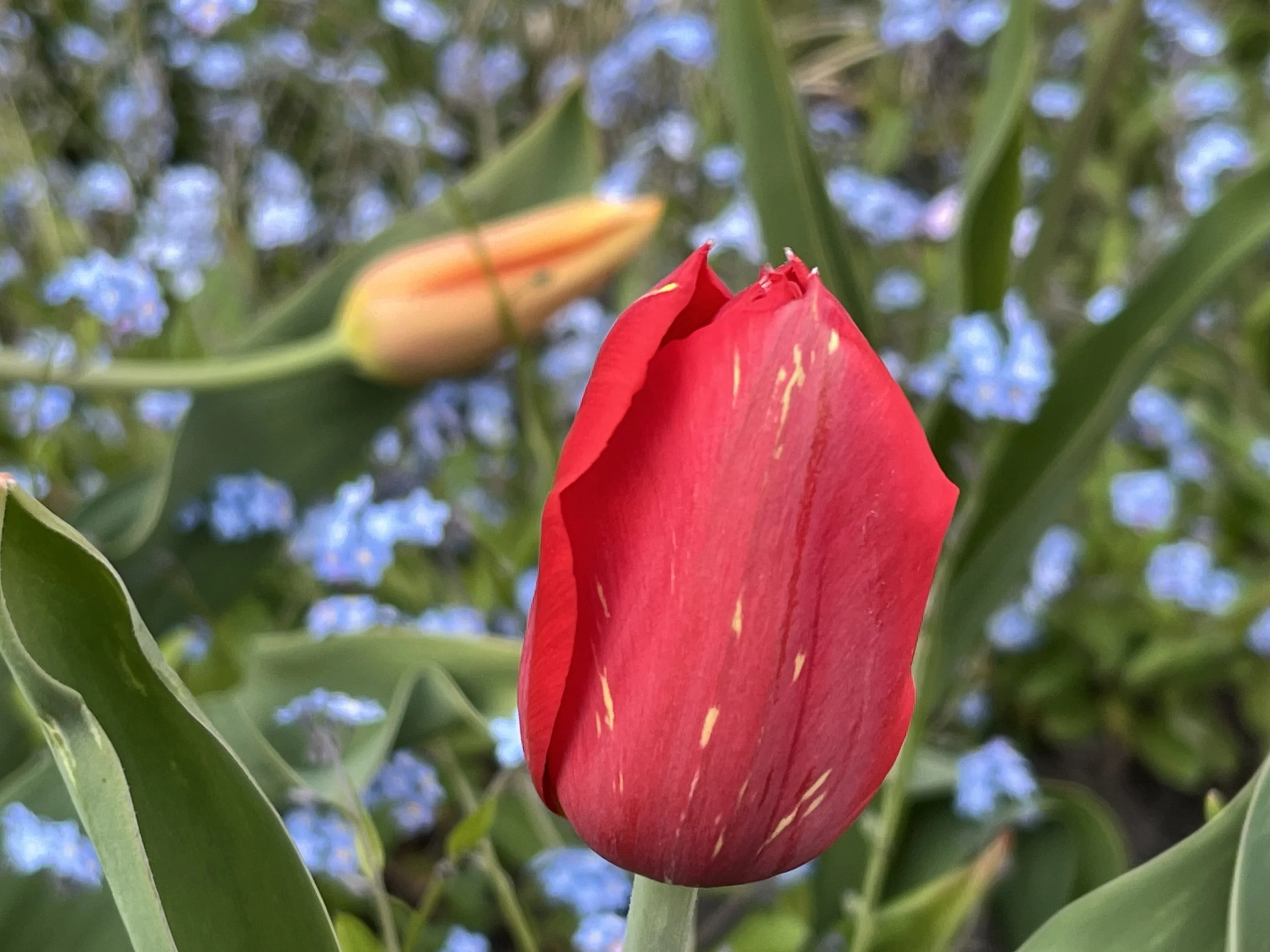 April 2026 Newsletter