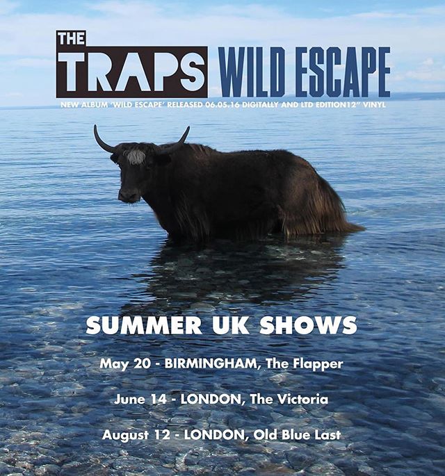 New Summer Shows just announced.. #wildescape #uktour #london #birmingham #ukmusic