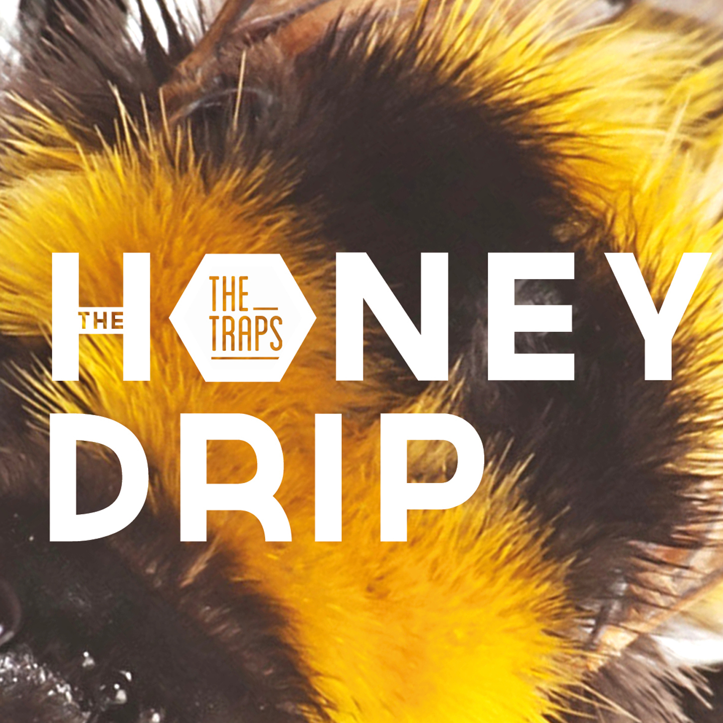 The-Traps---The-Honey-Drip-.jpg