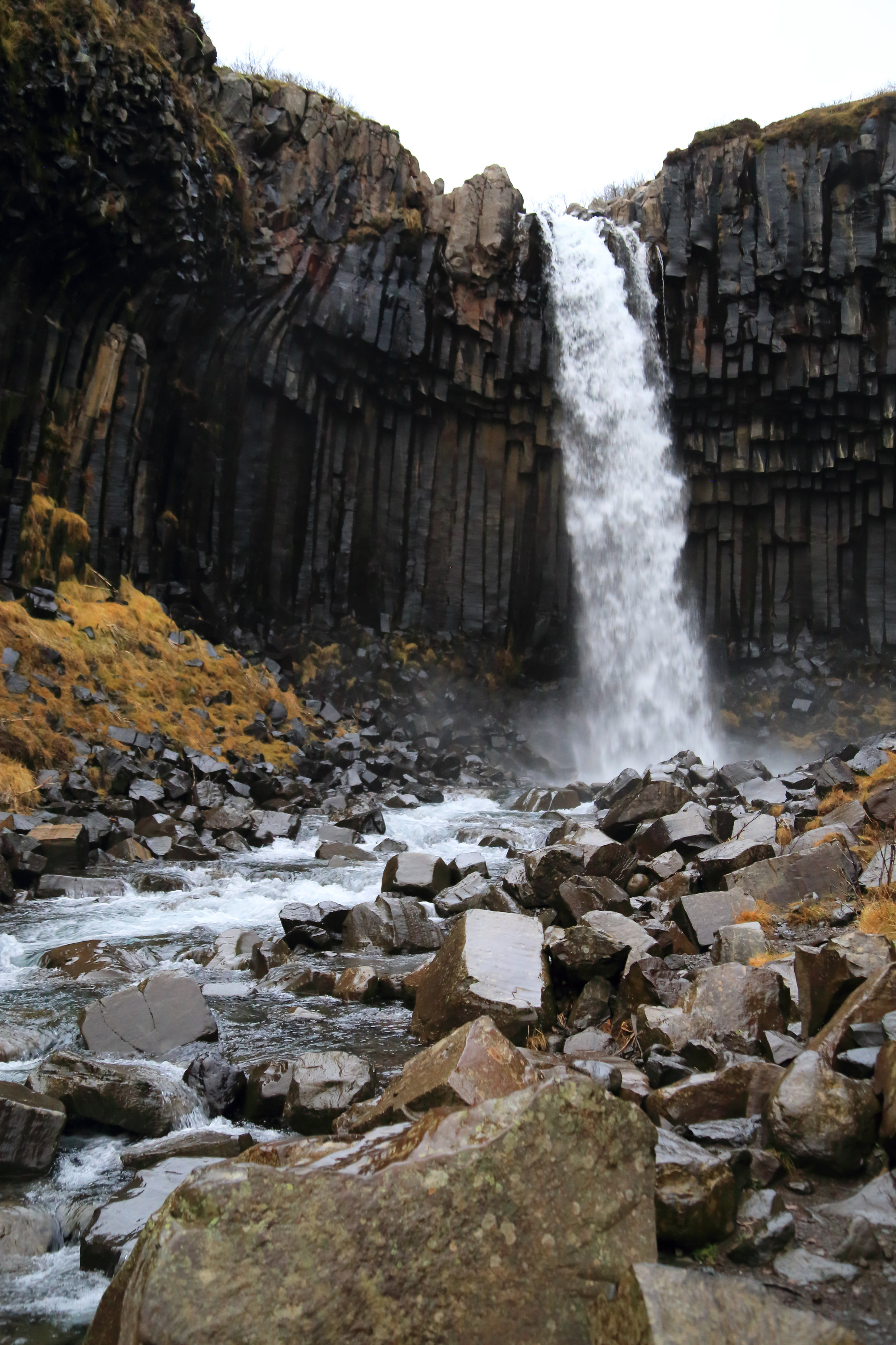 Basalt columns at Svartifoss
