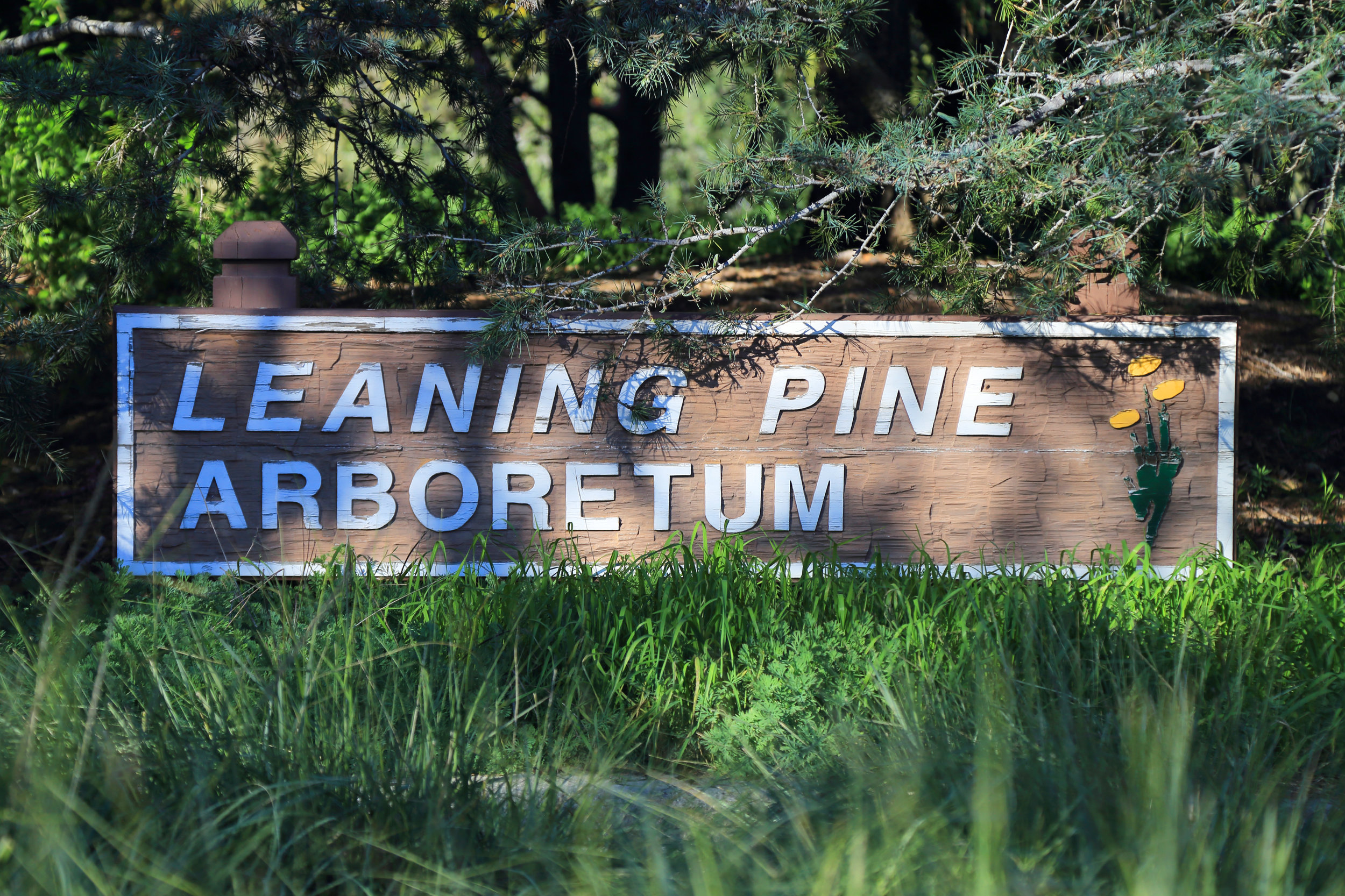 Welcome to Leaning Pine Arboretum