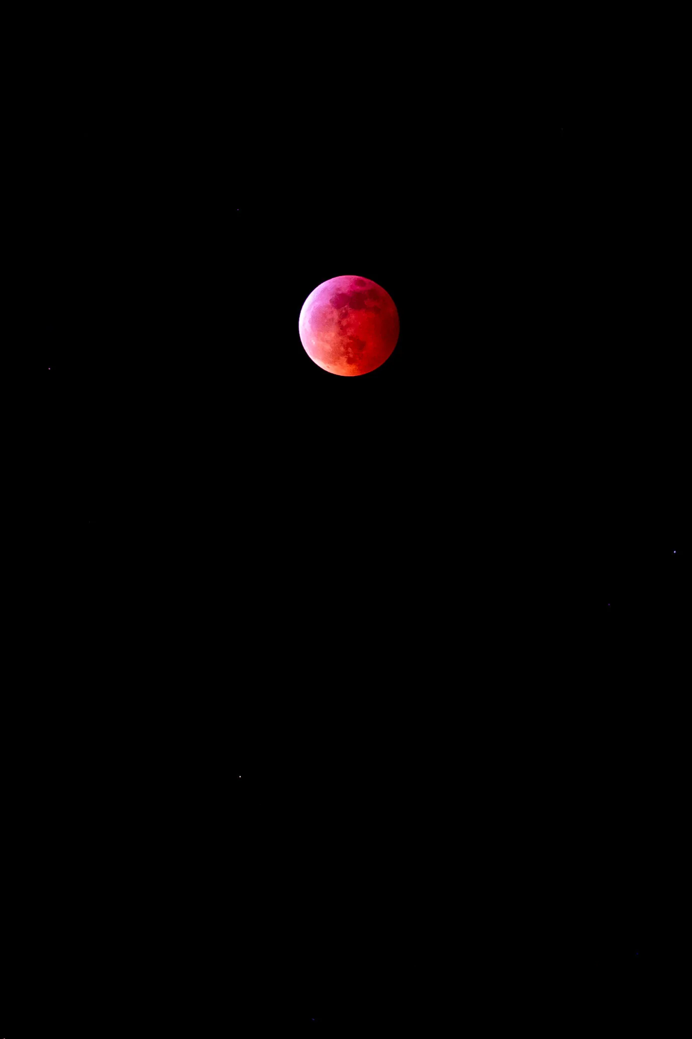 DSCF6255.jpg