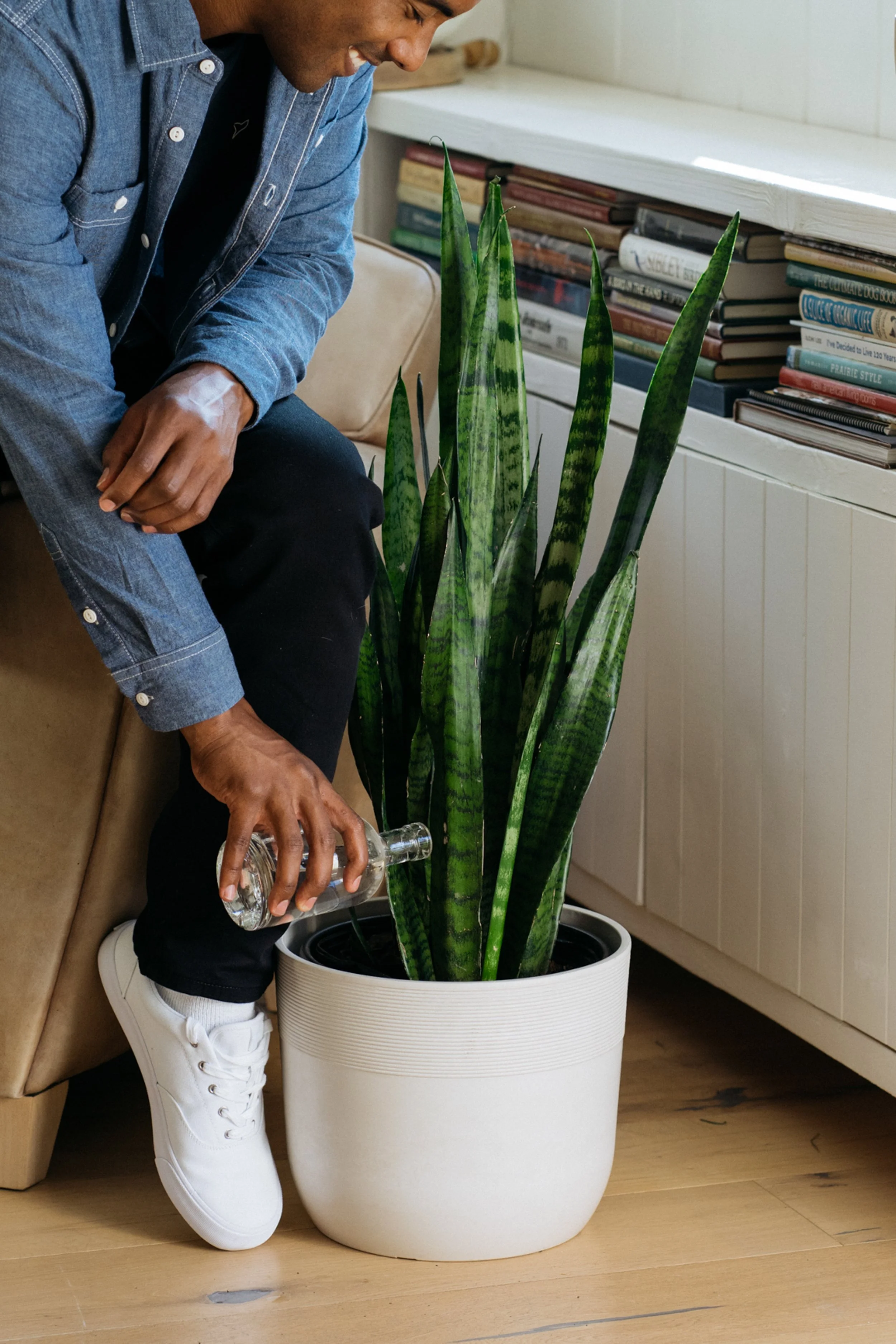 Plants.com-17.jpg