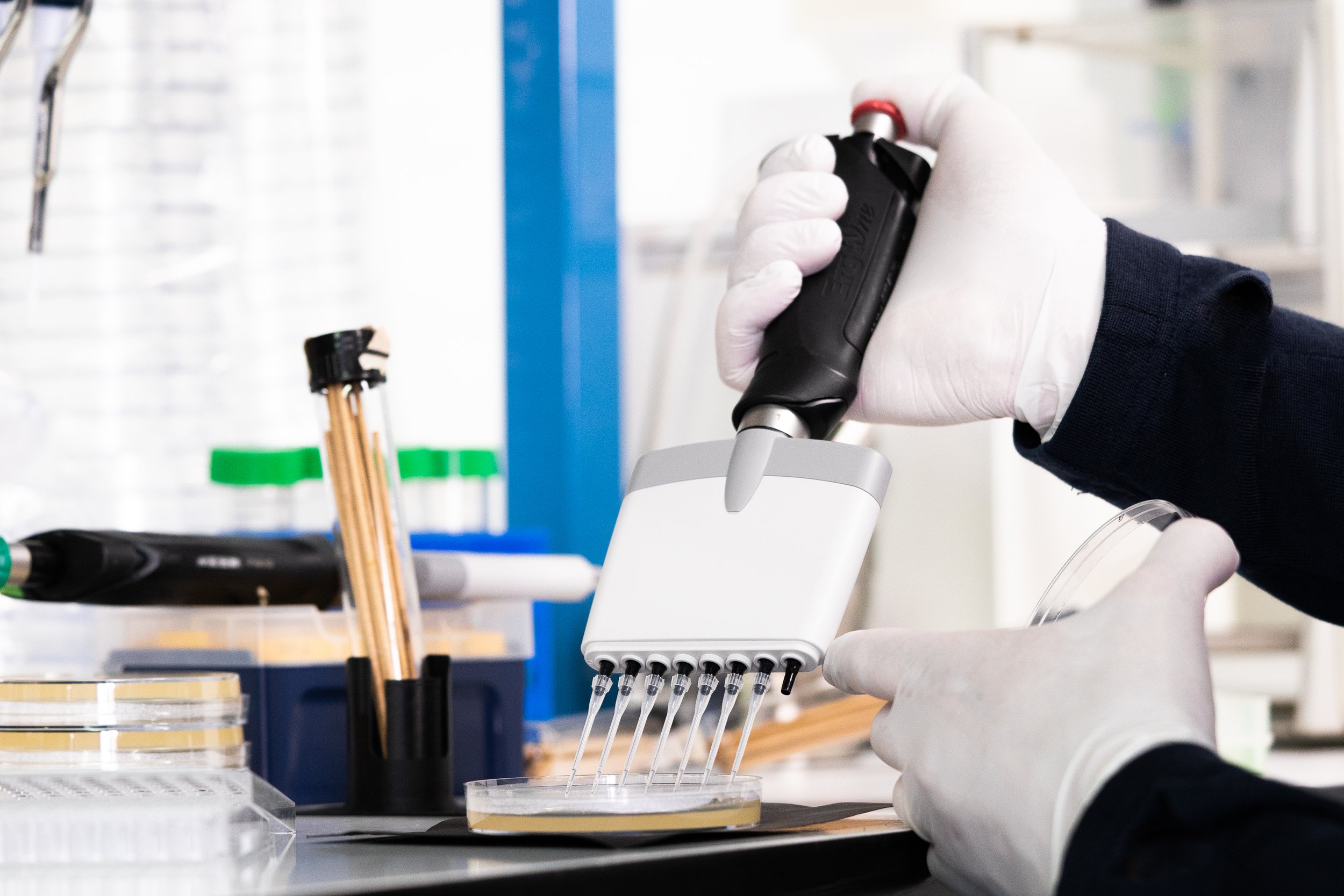 lab-55.JPG