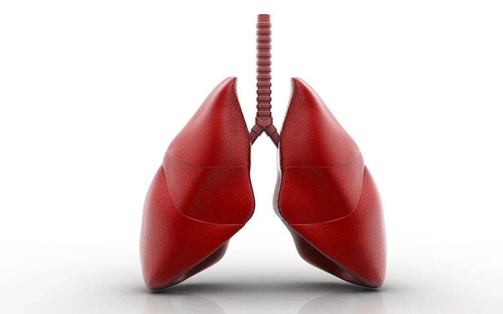 Lungs