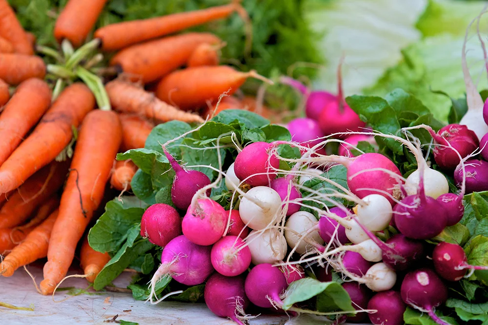 carrot-radish.jpg
