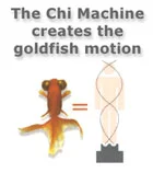 gold_fish_motion1_sm.jpg
