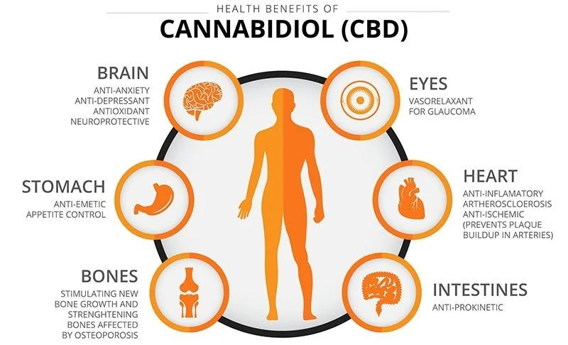 8-Health-Benefits-Of-CBD-Oil.jpg