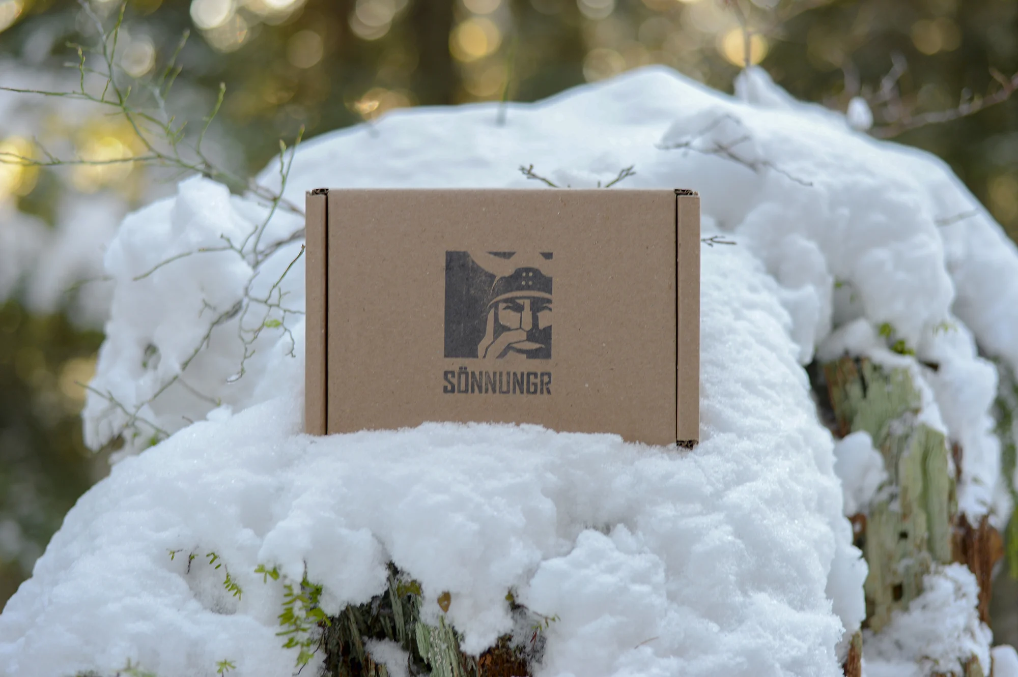 sonnungr_box_snow.jpg