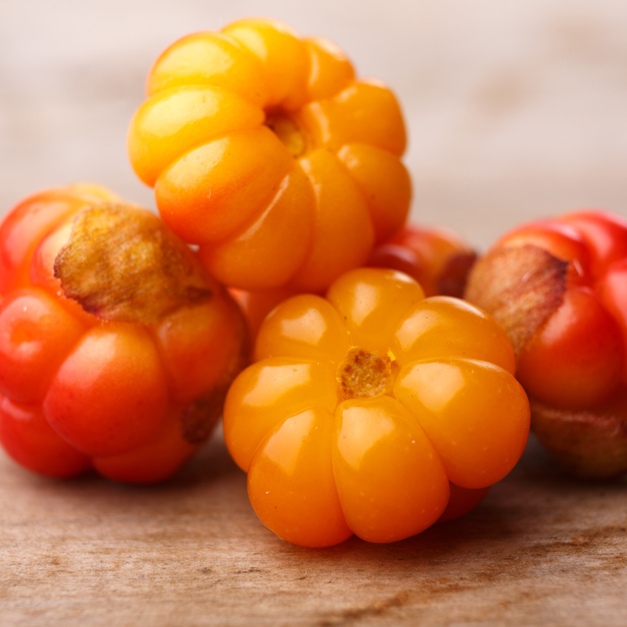 cloudberries1_sq.jpg