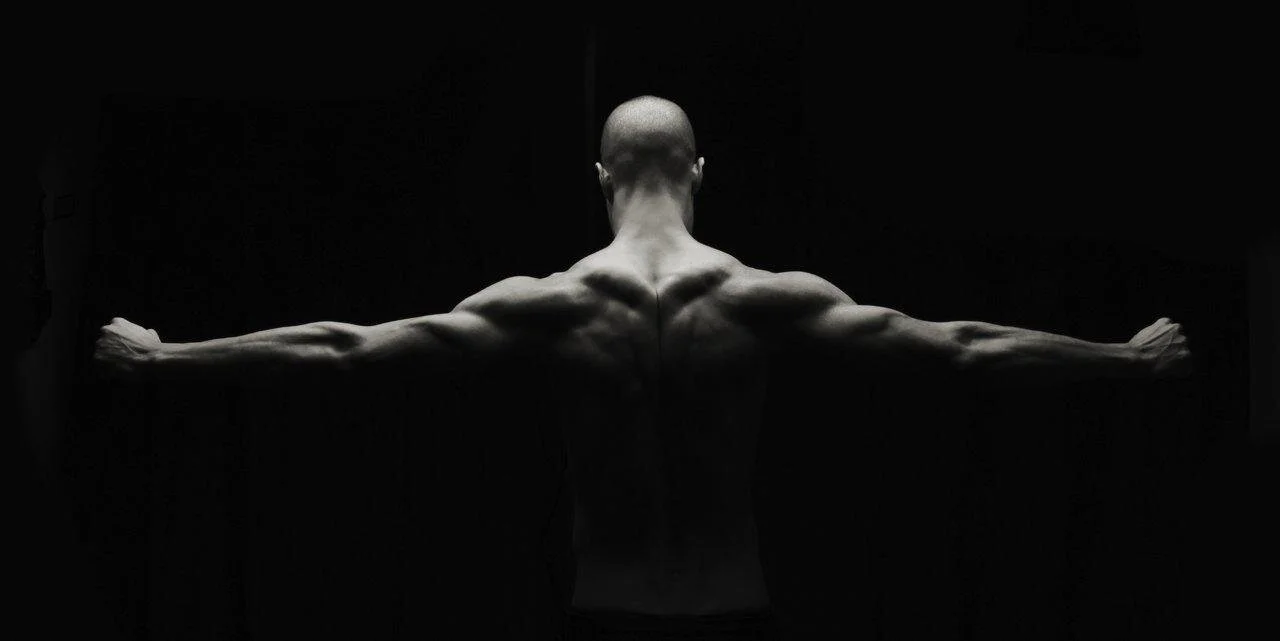 wingspan.jpeg