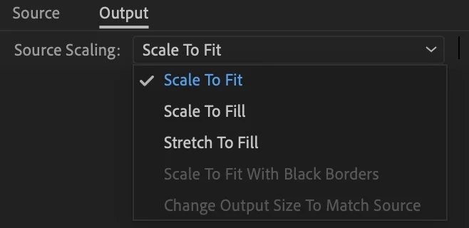 Adobe premiere pro source scaling