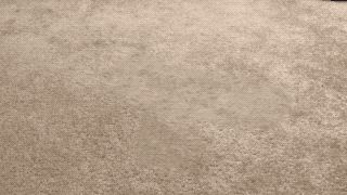 After Content-Aware Fill