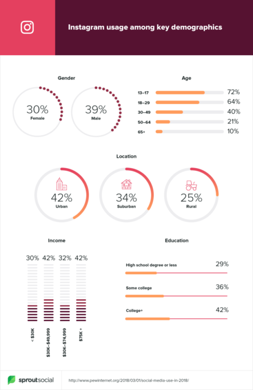 2019-demographics-instagram-666x1024.png