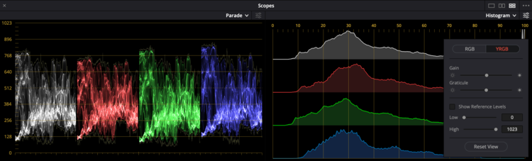 YRGB modes are available for the parade and histogram, and YCbCr is available for the parade.