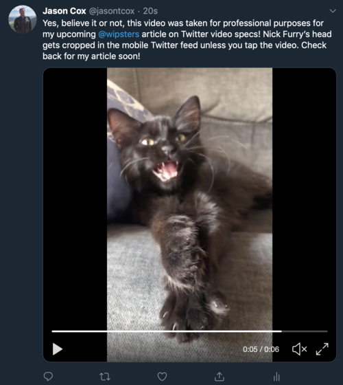 Vertical video is not cropped in a desktop browser Twitter feed.