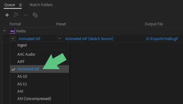14 AME OutputFormat v1.jpg