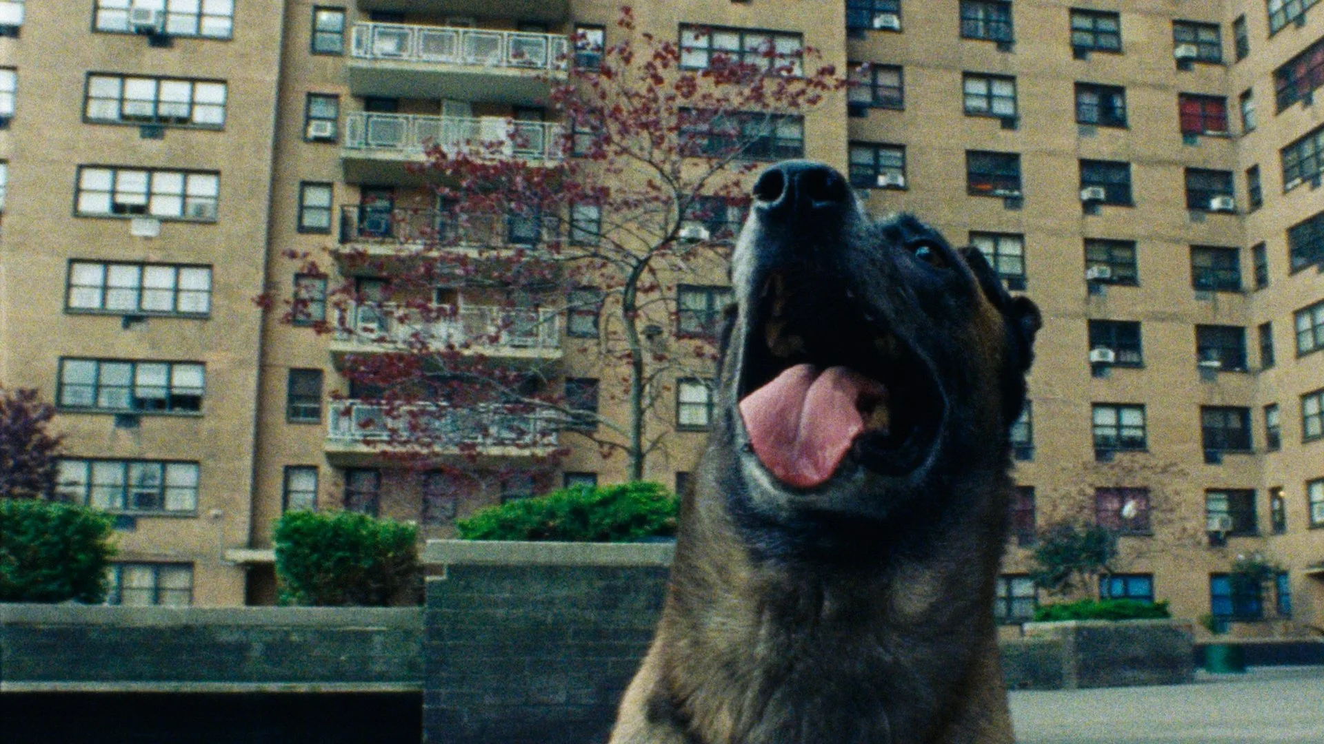 Kez stills_1.36.1.JPG