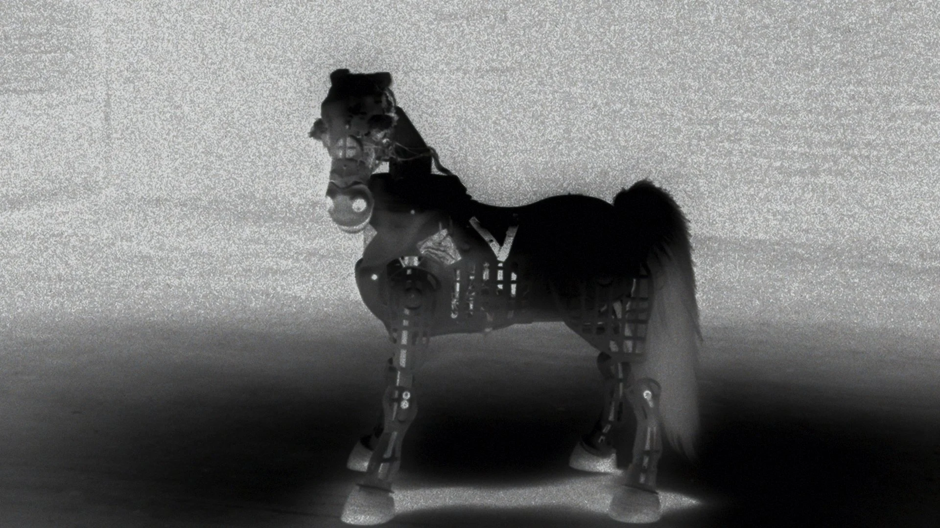 triathalon stills 169_1.31.1.jpg