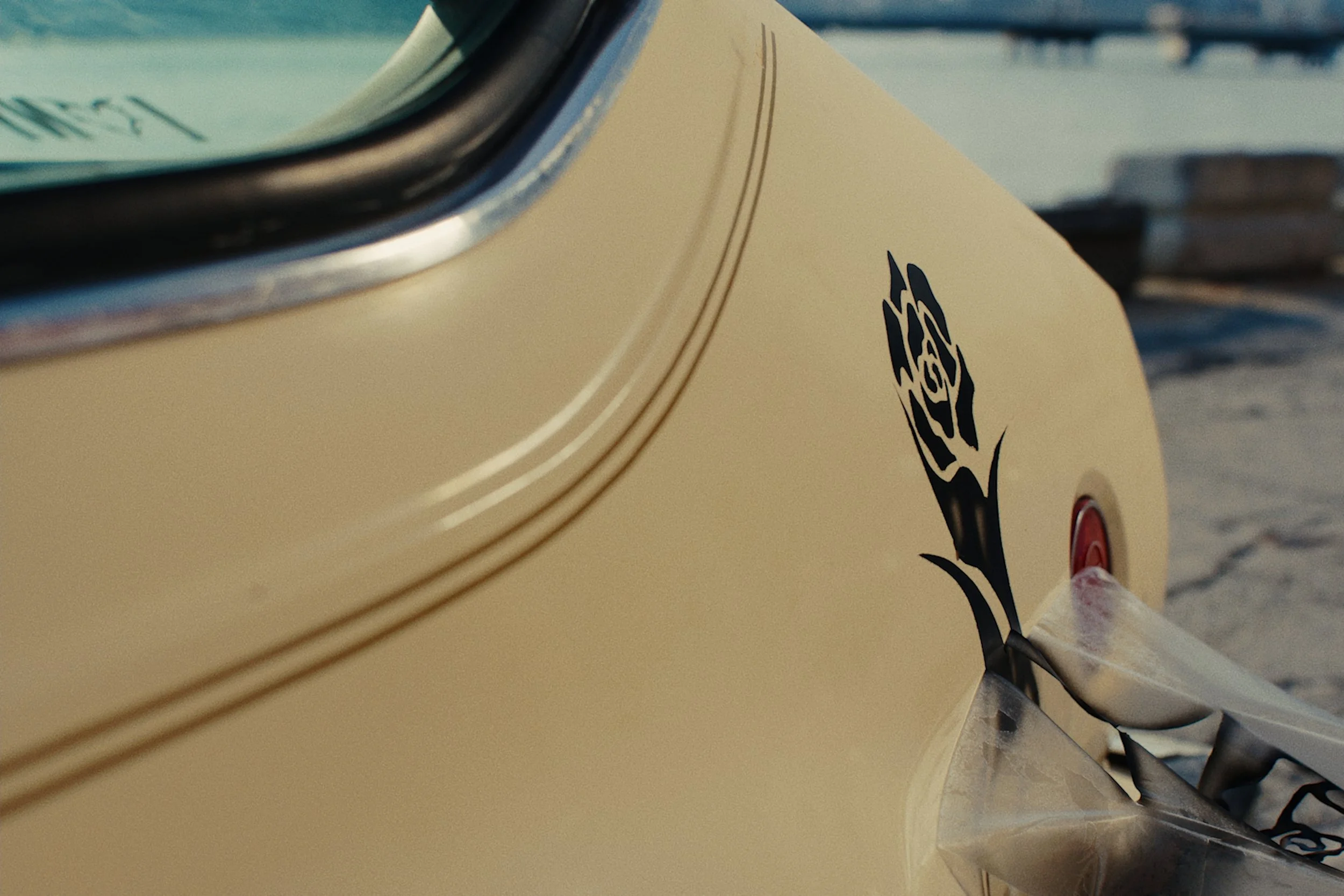 bien stills 2 no letterbox_2.1.6.jpg