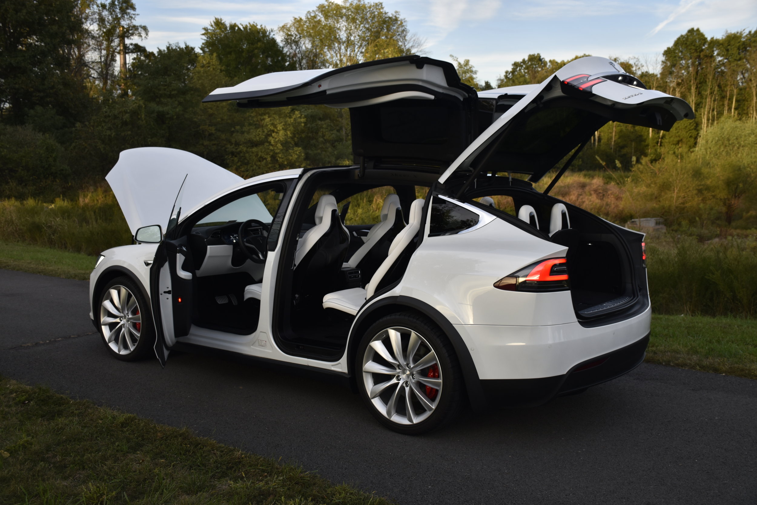 Tesla Model X Lusso Dream Cars