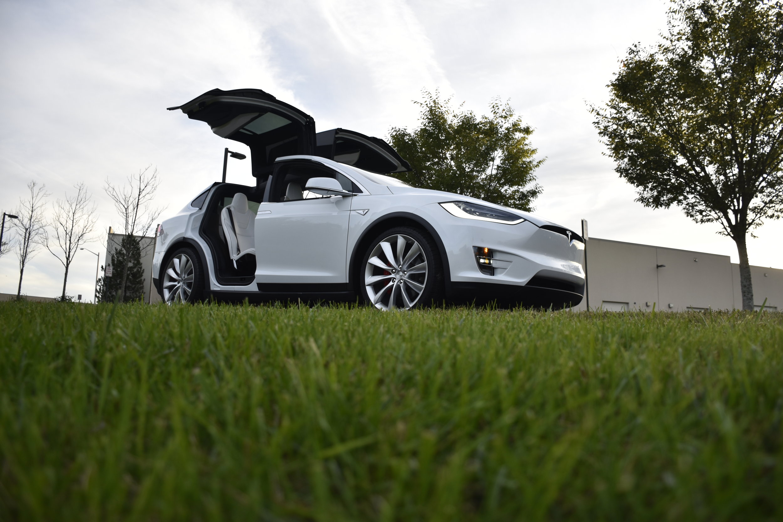 Tesla Model X Lusso Dream Cars