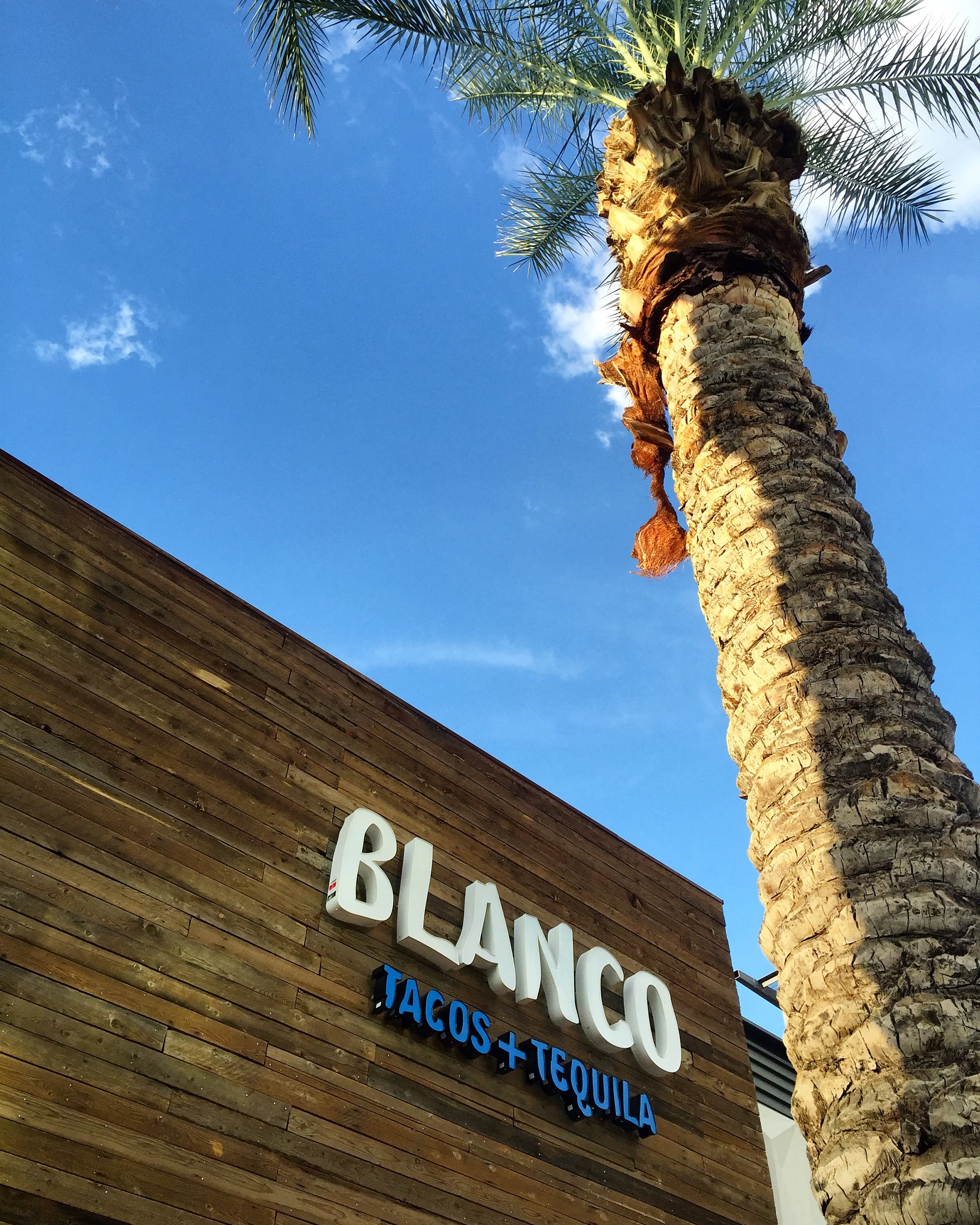 blue skies. palms. tacos. tequila.