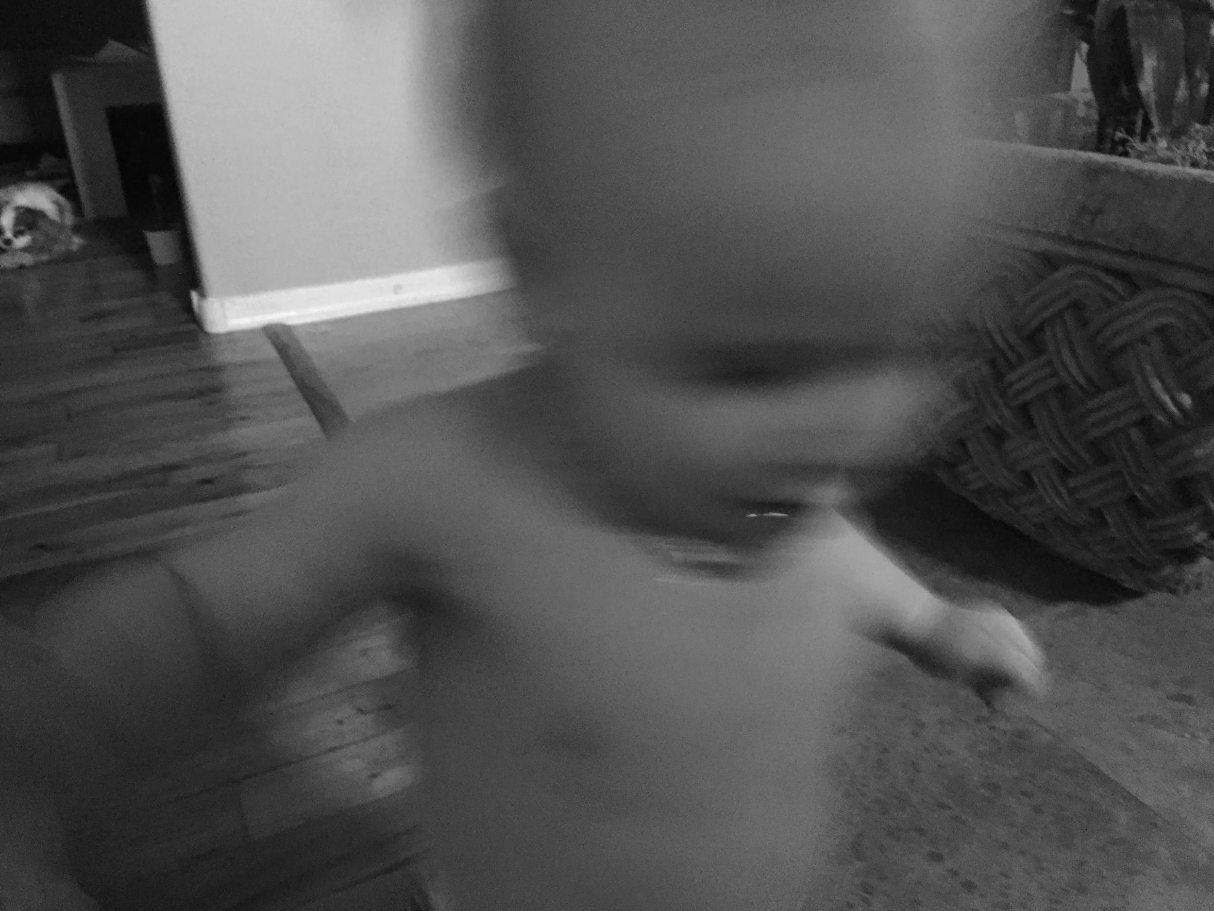 ridley, the blur.
