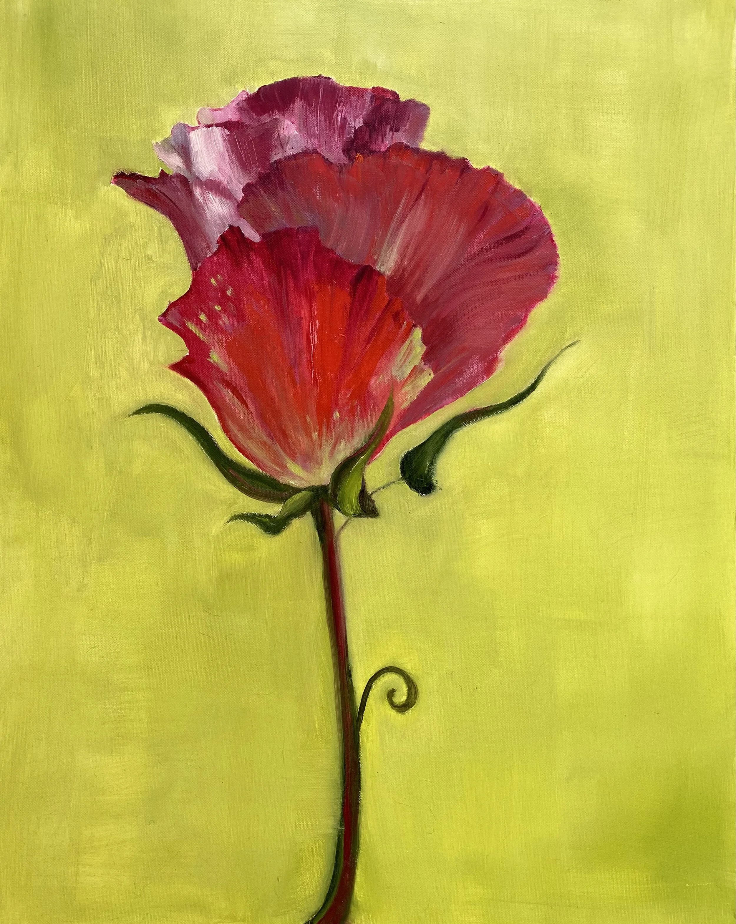 FINE ART c/o Amy Whitehouse