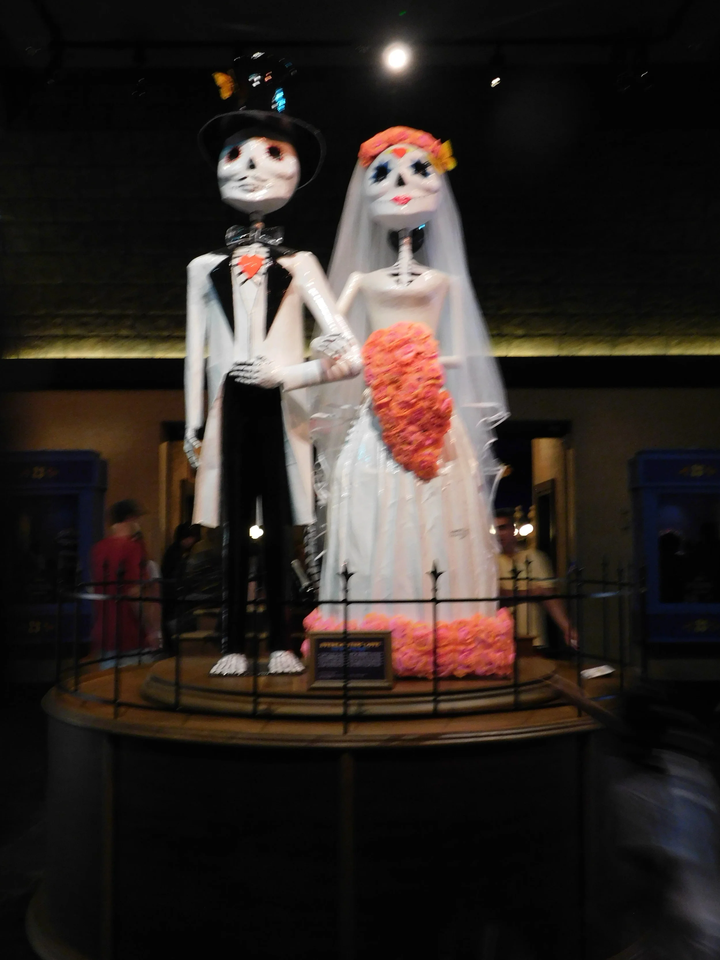 DSCN0026.JPG