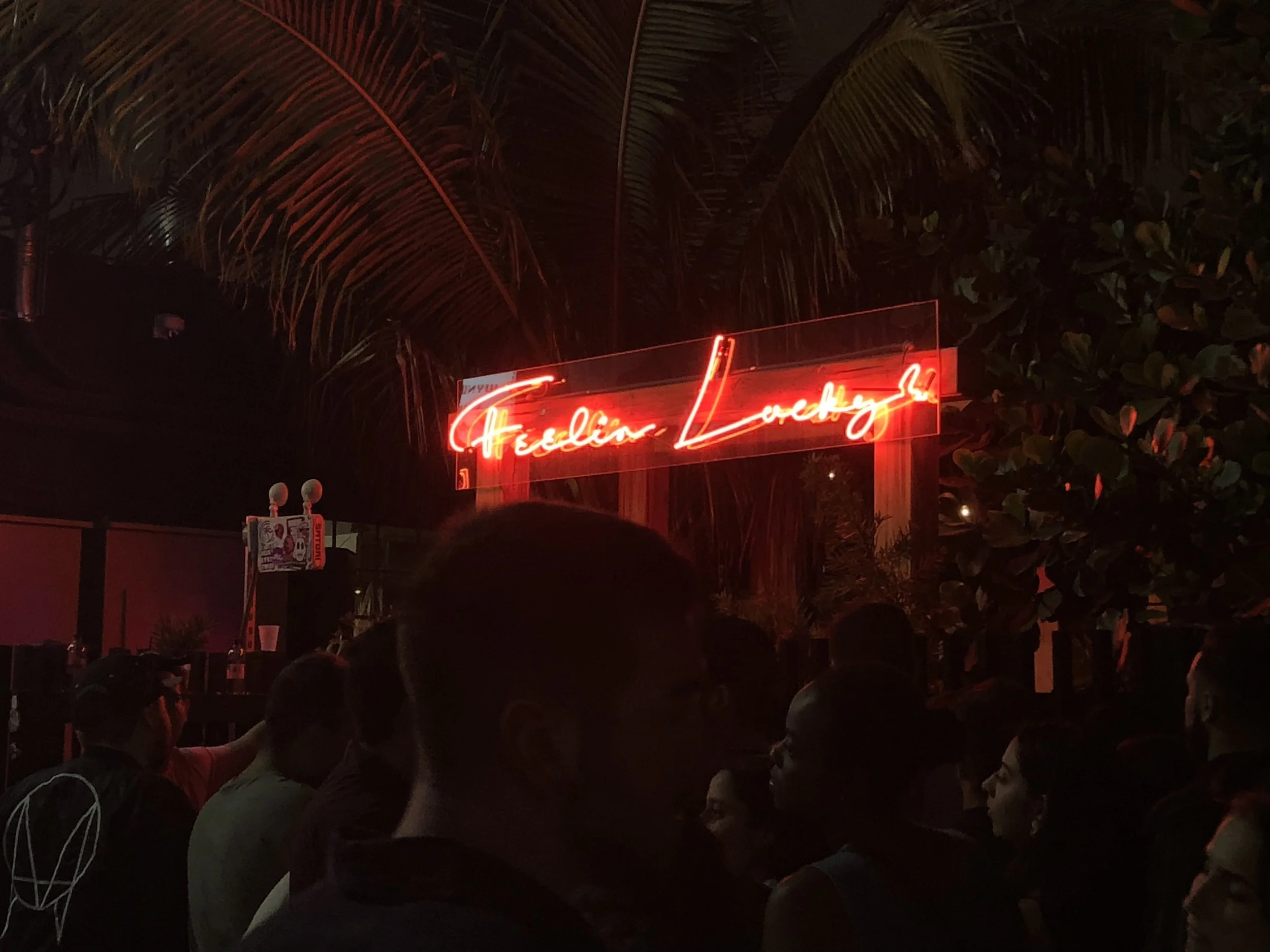 Everyday People Party