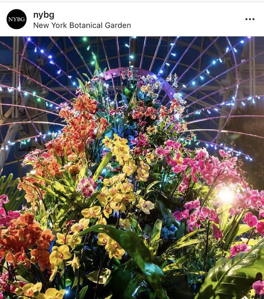 Picture Taken from New York Botanical Garden