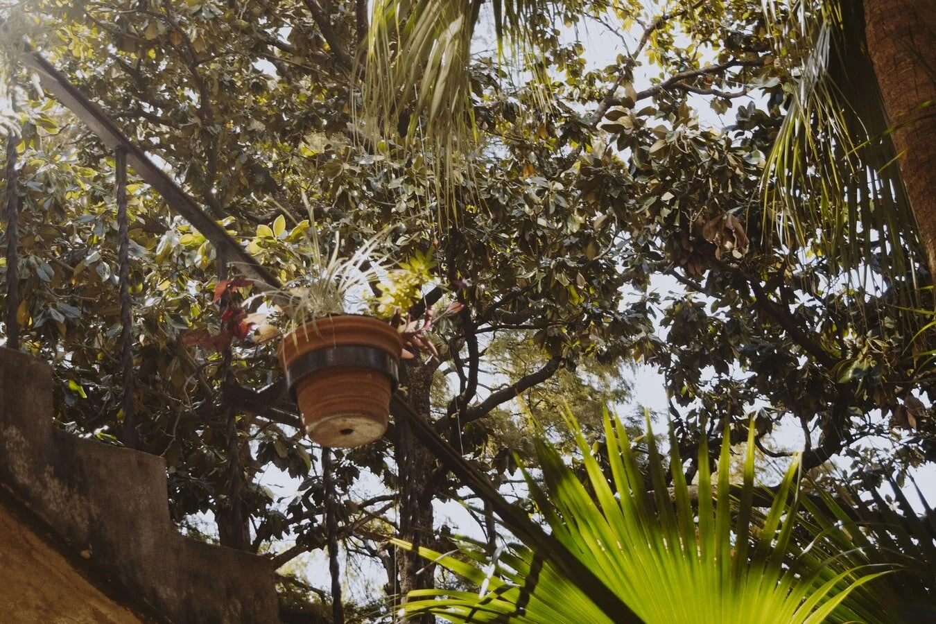 Tree House Adventurous Escape - By Asia-Ashley Joseph