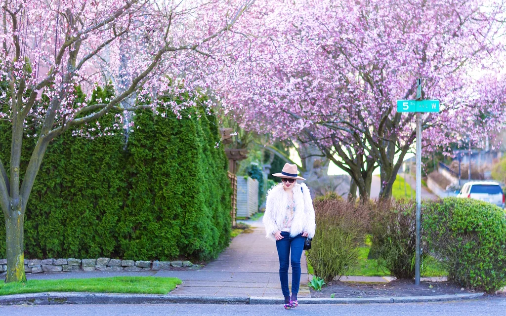 Spring Has Sprung!