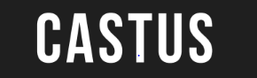 pasted image 0.png