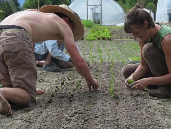 Planting time!